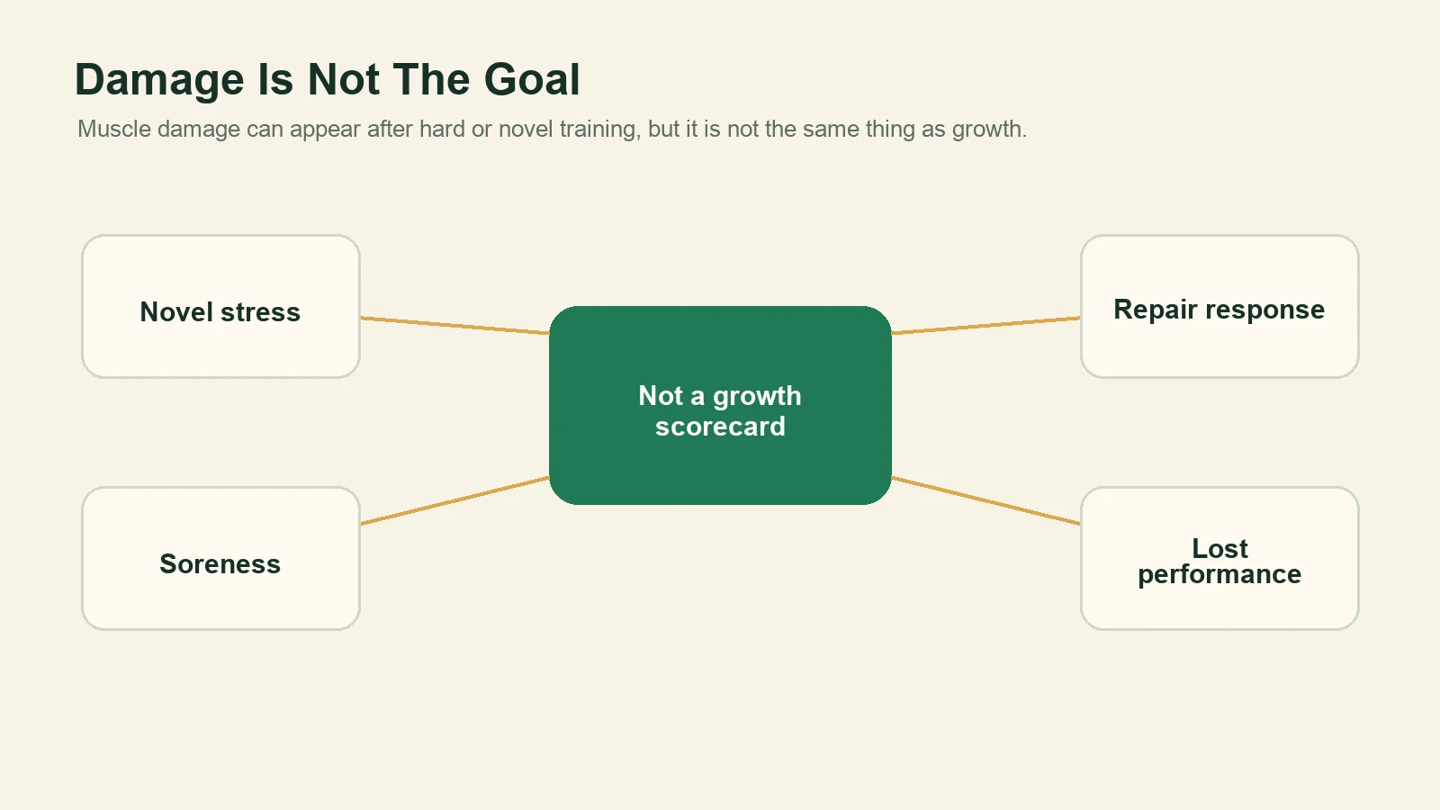 Diagram showing novel stress, soreness, repair response, and lost performance leading to a warning that damage is not a growth scorecard.