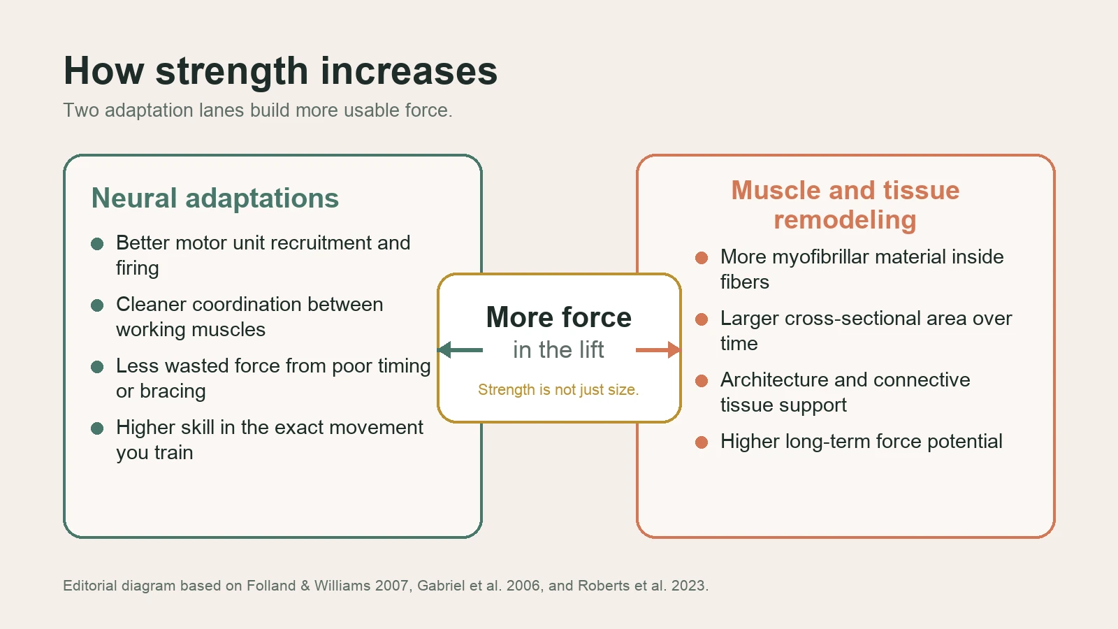 Diagram showing neural adaptations and muscle remodeling as two pathways that both increase usable force.