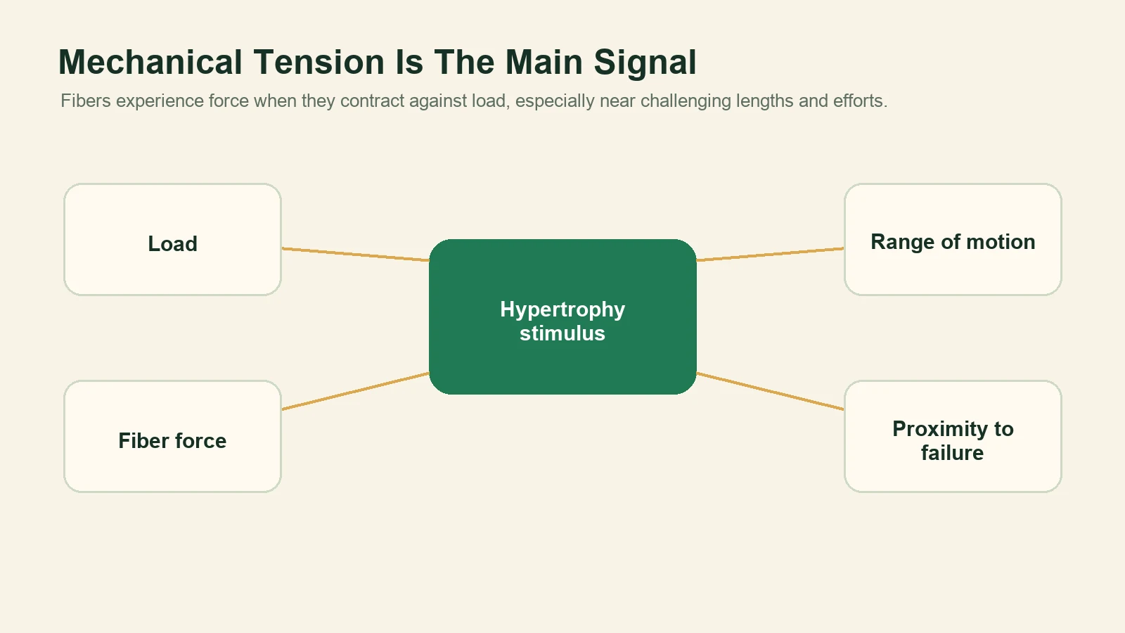 Diagram showing load, fiber force, range of motion, and proximity to failure contributing to hypertrophy stimulus.