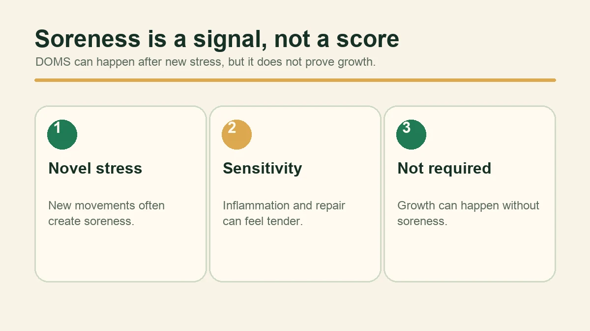 Diagram showing soreness as a signal of novel stress, sensitivity, and not a requirement for growth.