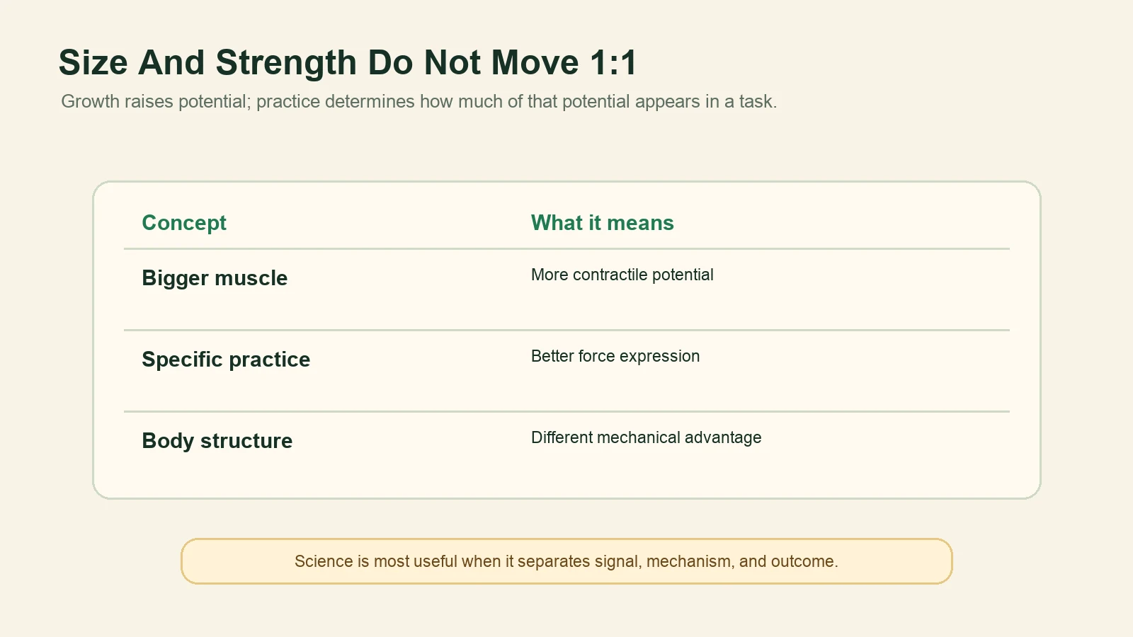 Comparison table showing bigger muscle, specific practice, and body structure as different contributors to strength.
